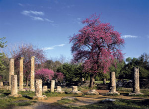 Олимпия. Развалины древнего города. Пелопоннес, Греция