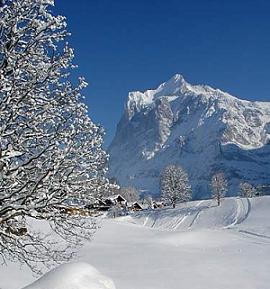 зимний отдых в Гринденвальде, Швейцария. Курорты Швейцарии